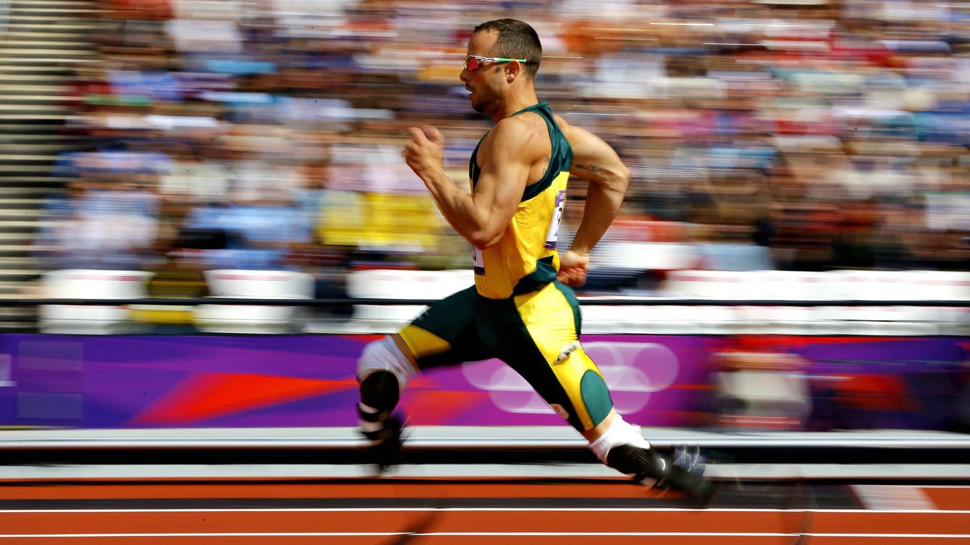 逆境求生:危机时刻球队如何调整战略?,逆境求生的狮群